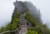 2026世界杯抢断王候选：坎特接班人都有谁？，坎特拿过世界杯吗