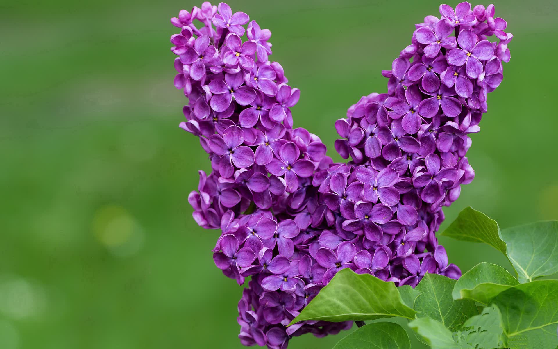 世界花样滑板节:新潮路线引媒体关注,2021-2022世界花样滑冰大奖赛
